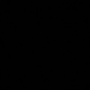 Meet your Posher, Liza